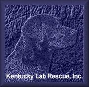 Kentucky Lab Rescue, Inc.