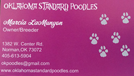 Oklahoma Standard Poodles